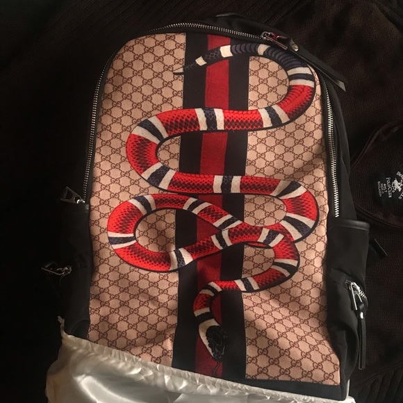 Backpack - Picture 1 of 1